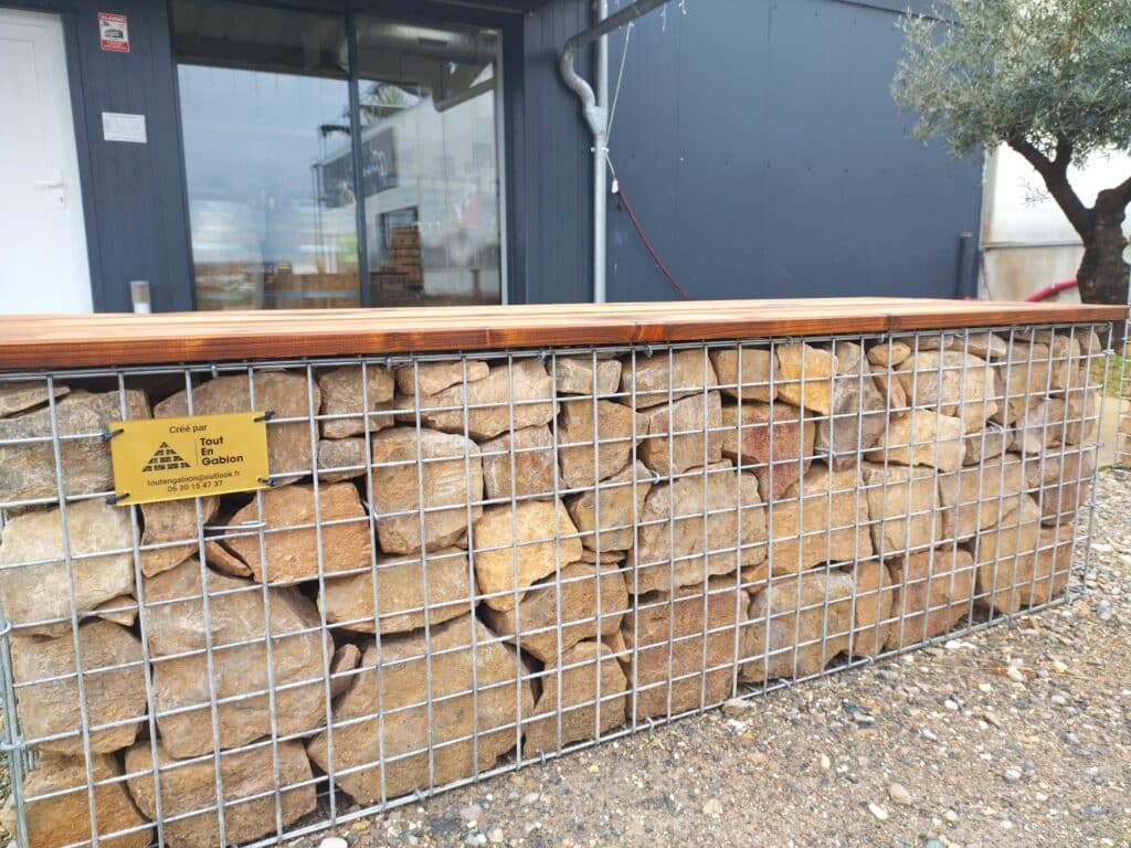 IMG_20250324_083721182